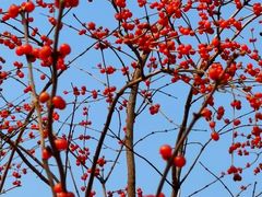 -长春公园(普阳街道)