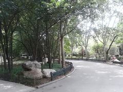 景点-西安市长乐公园