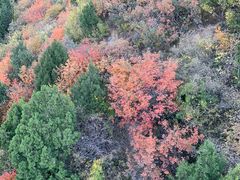 -香山公园