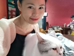 -猫色咖啡·猫咖