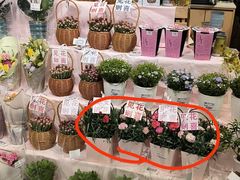 -成都银泰中心in99