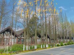 -太阳岛度假酒店