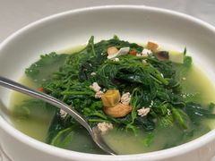 -香港狮子山下·明星粤菜餐厅(北苑店)