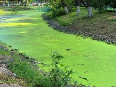 -长白岛森林公园