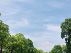 -东方绿舟景区