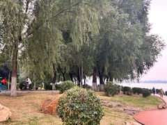 -丁香湖公园