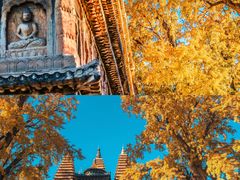 -北京石刻艺术博物馆(五塔寺)