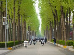 -清华大学-清芬园