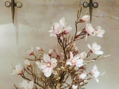 -LYFATTI 莱芙缇(赣水路店)