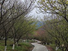 -福清灵石山国家森林公园