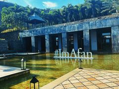 -日落吧·海景咖啡厅·餐酒吧·鸡尾酒·下午茶·乐队表演·浪漫夕阳·三亚文华东方酒店