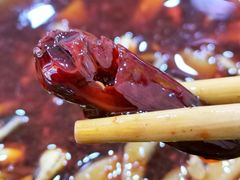 辣椒-曾凉面