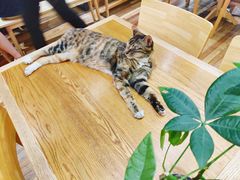 -猫的天空之城概念书店(杭州南宋御街店)