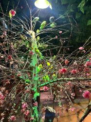 -酷嗒动物文化乐园(cutezoo西溪乐天城店)