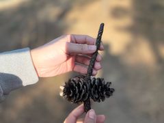 -北京西山国家森林公园