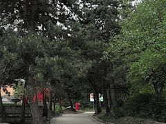-官滩沟风景区