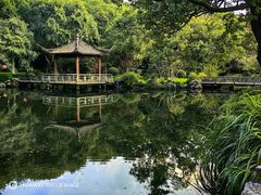 -浙江西子宾馆·牡丹厅