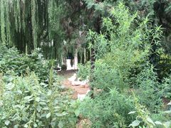 -山东大学(兴隆山校区)