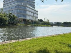 -南汇新城城市公园