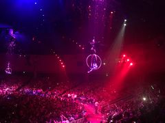 -珠海横琴长隆《卡卡虎奇遇记》