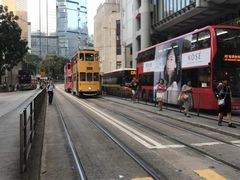 -池记(尖沙咀店)