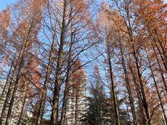 -苏州河梦清园环保主题公园