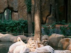 -北京野生动物园