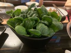 -东椰·海南椰子鸡火锅(朝阳门店)