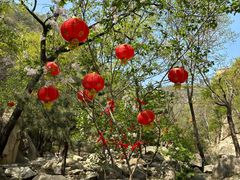 -天津盘山风景名胜区