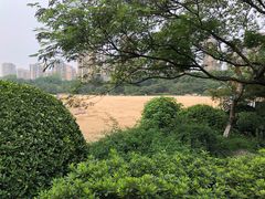 -青枫公园