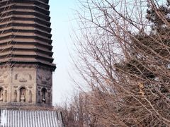-掌上鲜(南顺城街店)