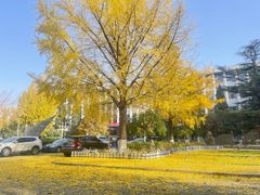 -北京邮电大学