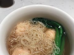 -南枝记