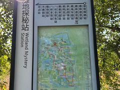 -溱湖国家湿地公园