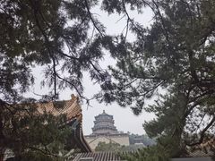 -颐和园