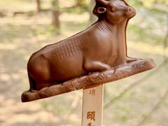 -颐和园