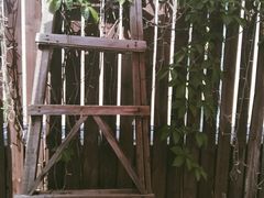 -新沙洞咖啡(泉乐坊店)