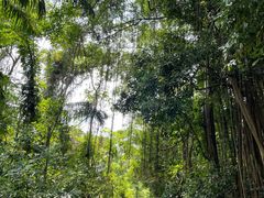 -武吉知马自然保护区