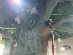 -金三可市井水煮鱼(金碧园店)