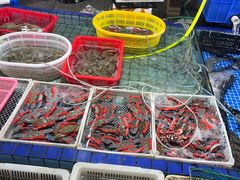 -霞涌市场海鲜摆卖区