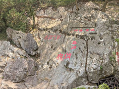 -苏州太湖西山岛开心农场