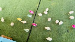 -萌宠亲子动物乐园(槐房万达店)