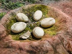 -湖南省地质博物馆