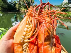 -徐岛主·特色农家乐(阳澄湖莲花岛店)