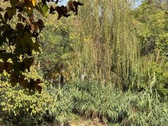 -贵阳市花溪国家城市湿地公园