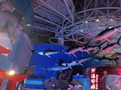 -烟台海昌鲸鲨海洋公园