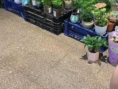 -百联临沂购物中心(临沂路店)
