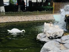 -北京市海淀外国语实验学校