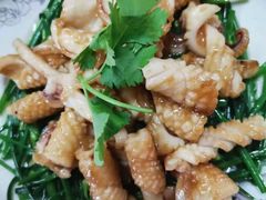 -大班家政月嫂育儿嫂(深圳NO.1店)