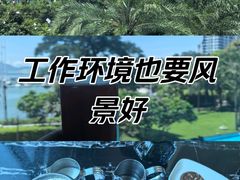 -希尔顿南海酒店·观廊大堂吧·海景下午茶